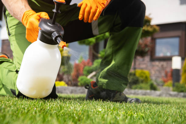 Best Wildlife Control Services  in Davenport, FL