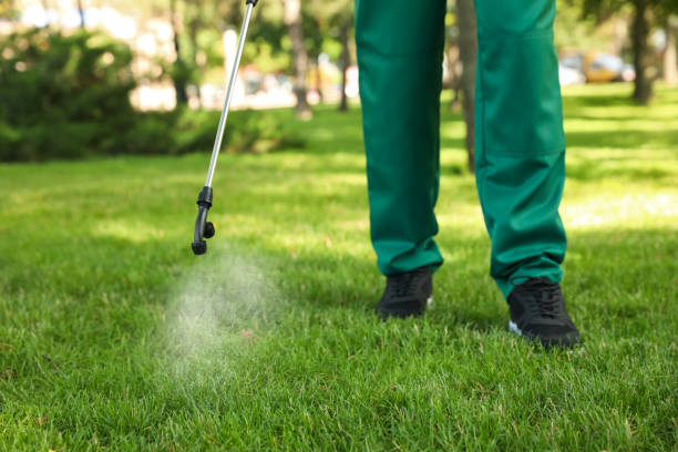 Best Termite Control Services  in Davenport, FL