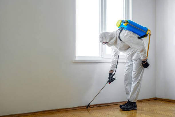 Best Pest Removal Services  in Davenport, FL