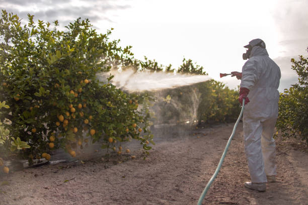 Pest Control Cost in Davenport, FL