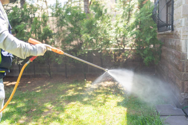 Best Wasp Removal Services  in Davenport, FL